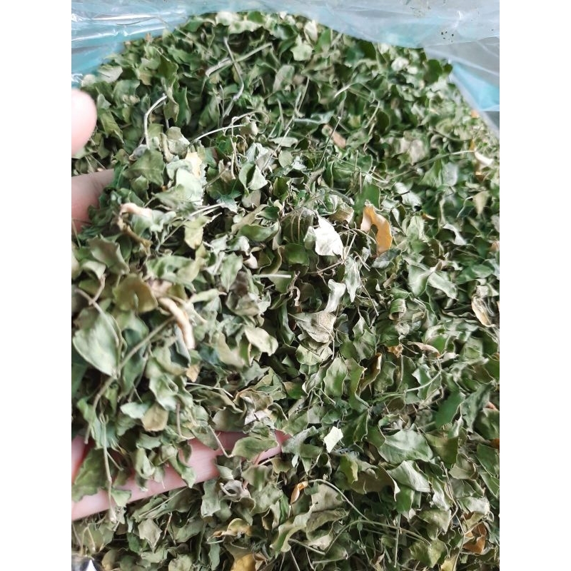 

Daun Kelor Kering Hijau Fress
