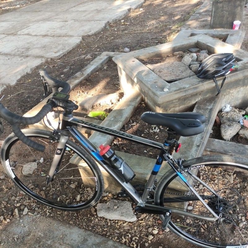 Roadbike Polygon S2 2019 Size S