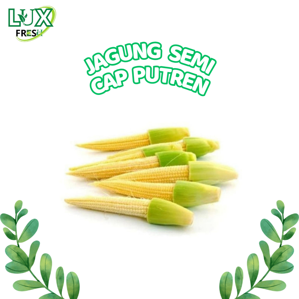 

JAGUNG SEMI CAP PUTREN 500 GRAM DAN 1 KG SEGAR DAN BERKUALITAS