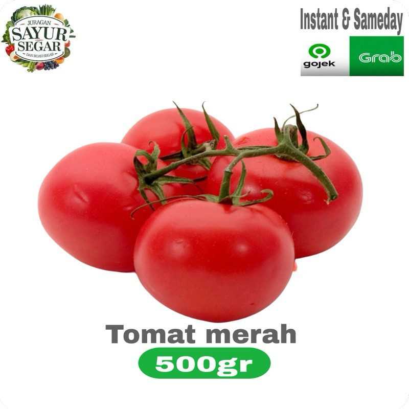 

TOMAT merah segar murah500gr