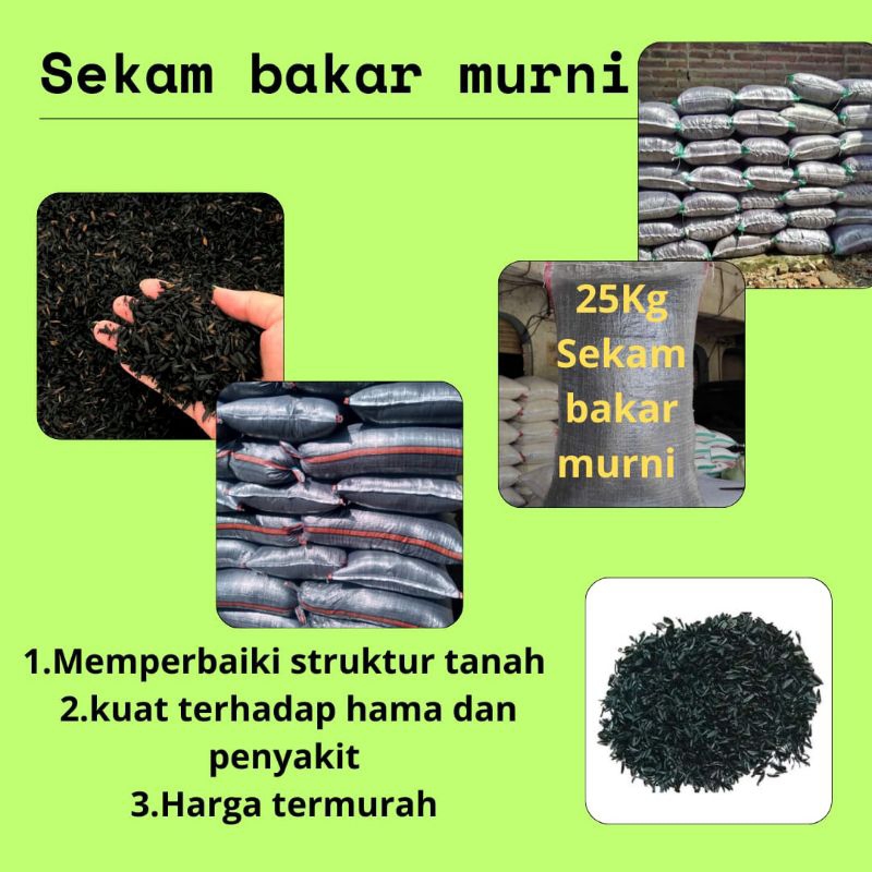 JAMIN ASLI.. sekam bakar karung, sekam bakar karungan