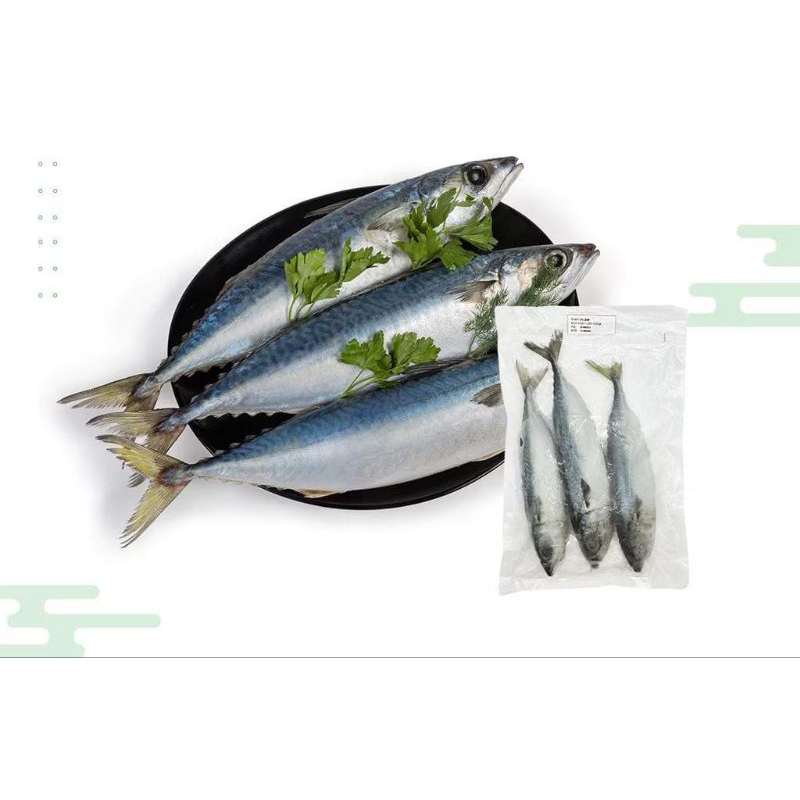 

Ikan Salem - Ikan Makarel Frozen 1kg