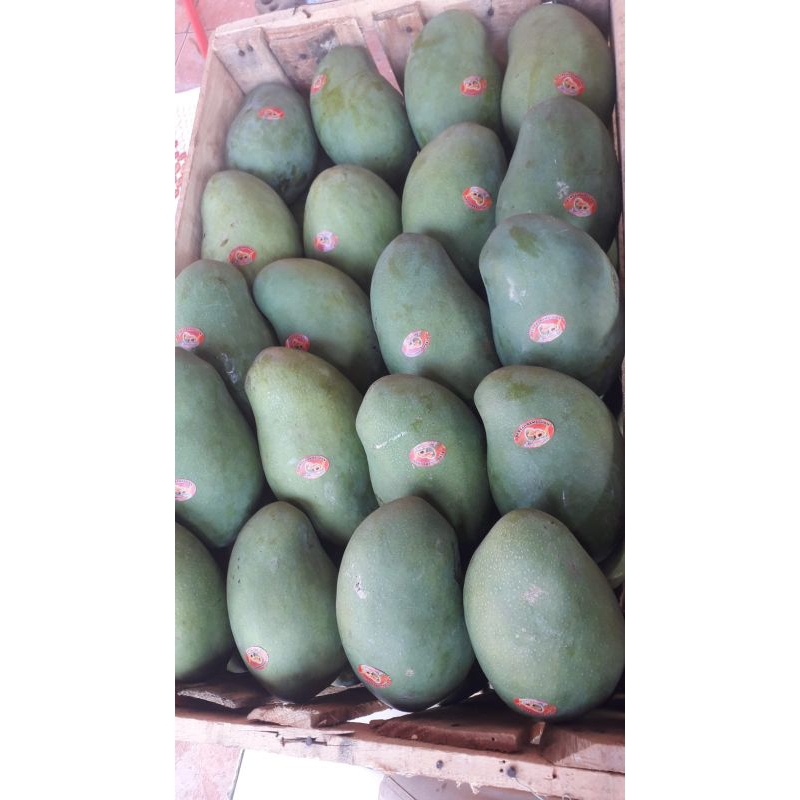 

Mangga Harumanis