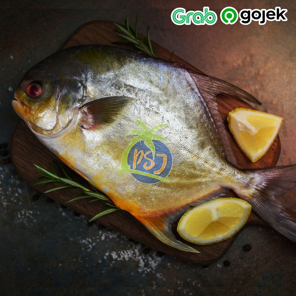 

Ikan Marukoban utuh bersih insang 1 ekor 400-600 gram | Ikan bawal jepang frozen fresh 1 ekor segar | Ikan marukoban segar ikan bakar
