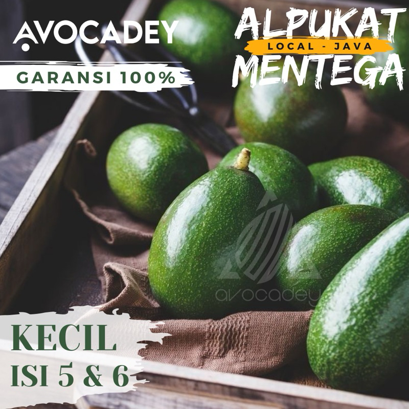 

Alpukat Mentega 1 kg (Kecil : Isi 5&6) Garansi 100%