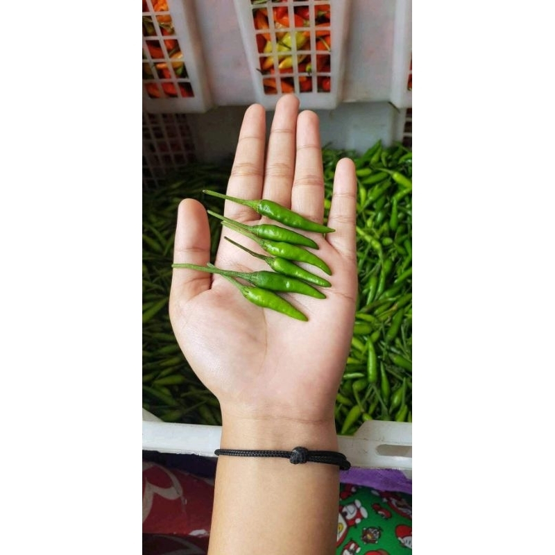 

CABE RAWIT HIJAU 100G