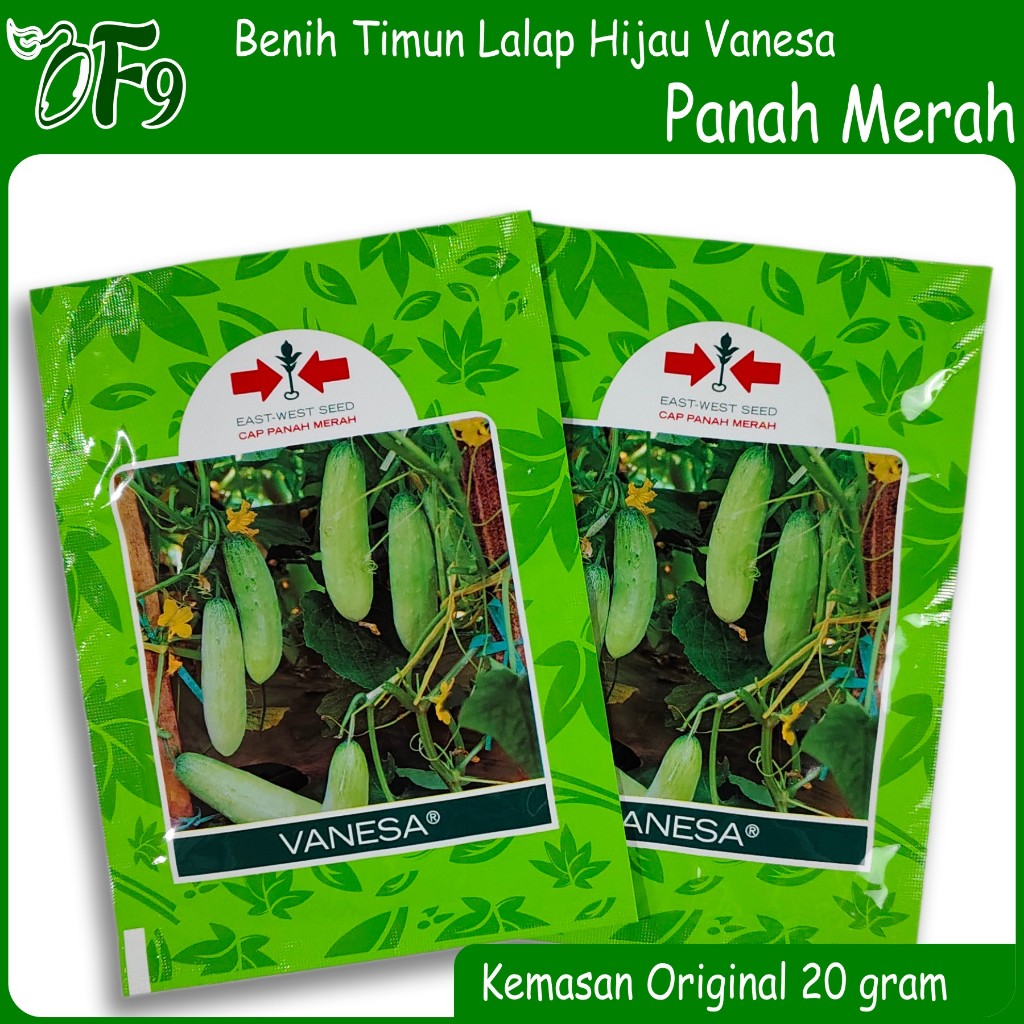 Benih Timun lalap - bibit mentimun hijau Vanesa panah merah 20 gram