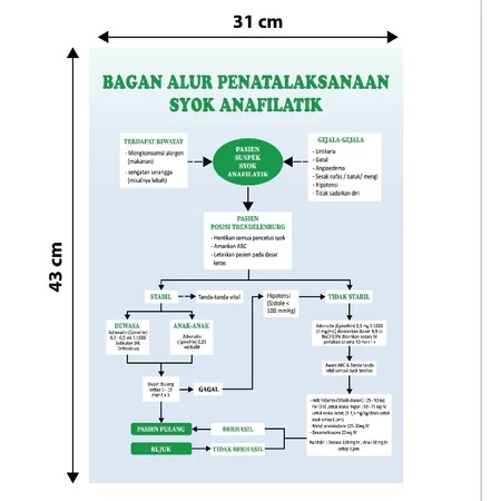 

Poster Kesehatan Bagan Alur Penatalaksanaan Syok Anafilaktik Uk. 31 x 43 CM SIGN RAMBU K3