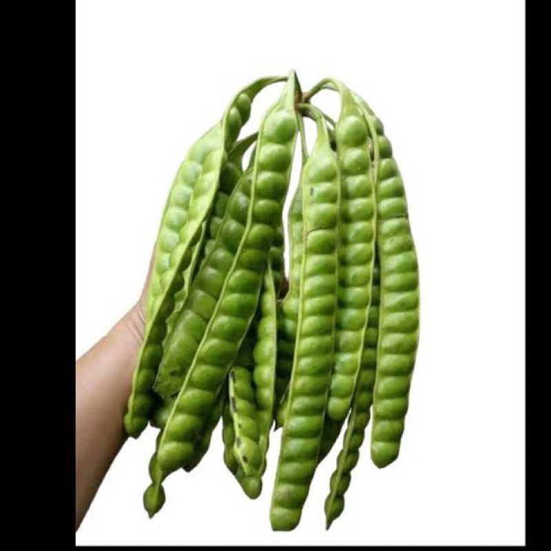 

Pete superan isi 10 papan