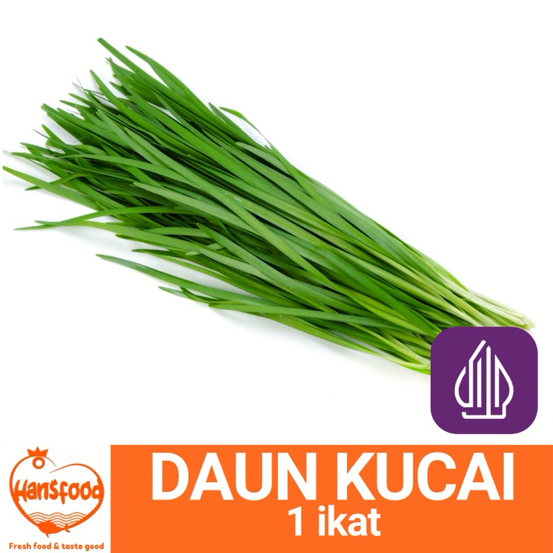 

DAUN KUCAI PER IKAT