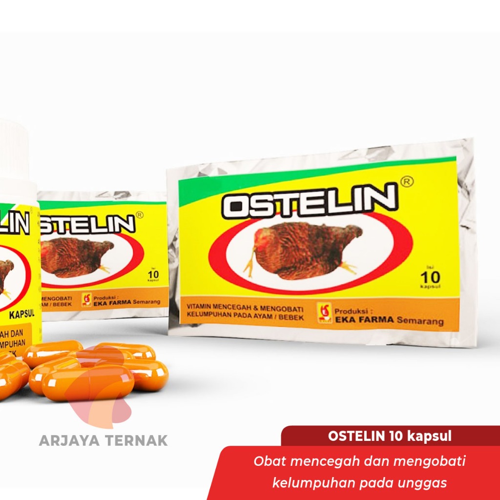 Obat Ayam Dan Bebek Lumpuh OSTELIN