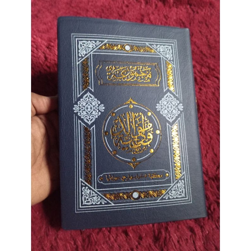 DIBA ARAB HVS