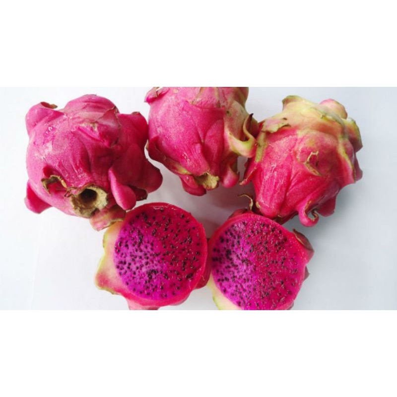 

buah naga red (dragon) 1kg.