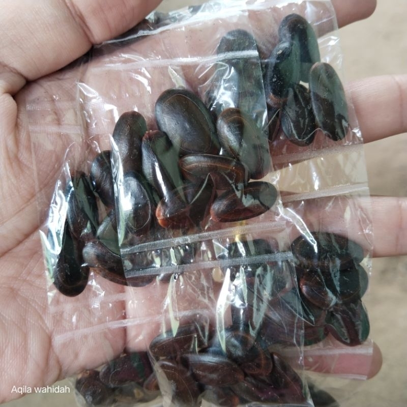 

Biji Kedaung/Kidawung Kemasan renceng