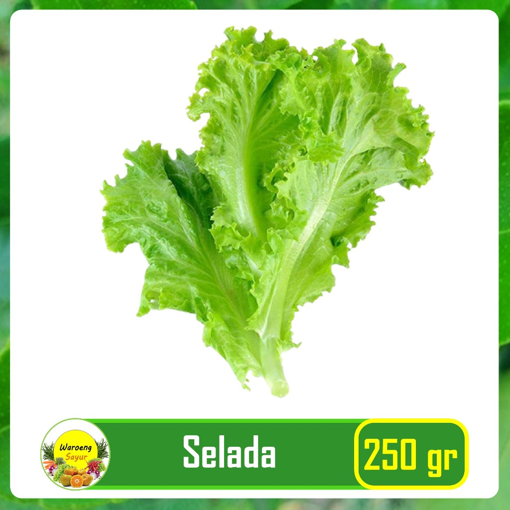 

Selada Keriting 250 Gram Hijau Segar Sayur Sayuran Online Segar Bogor