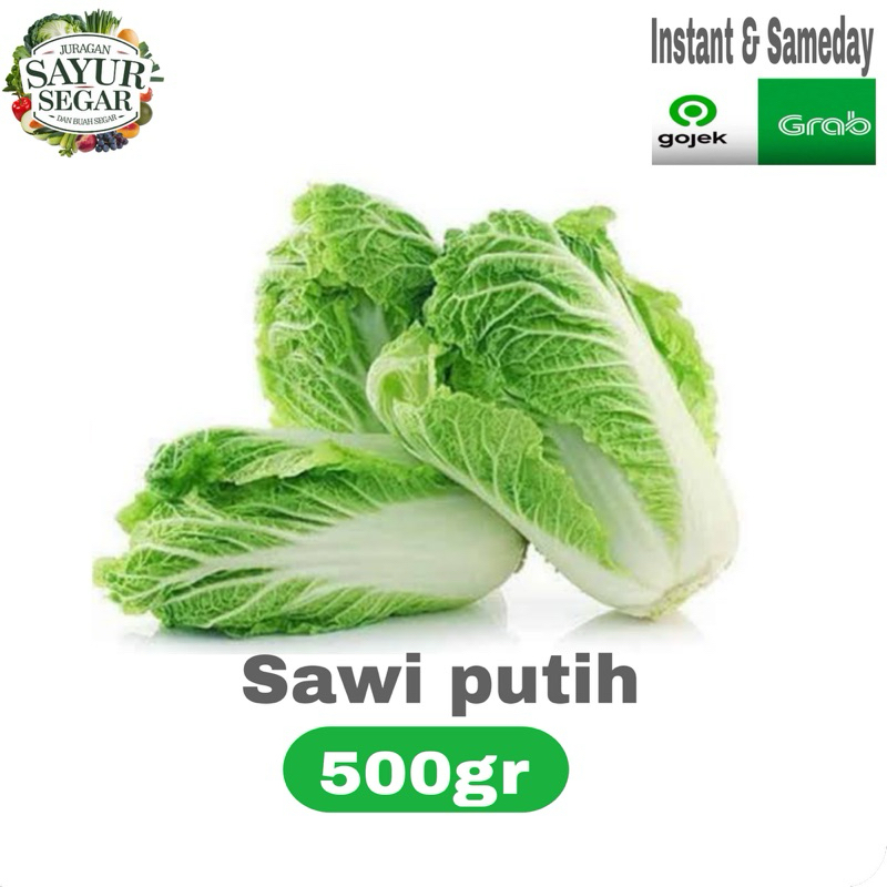 

Sayuran SAWI putih murah 500gr