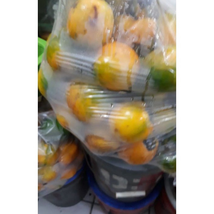 

HJ6 TERONG ASAM KALIMANTAN TERONG DAYAK