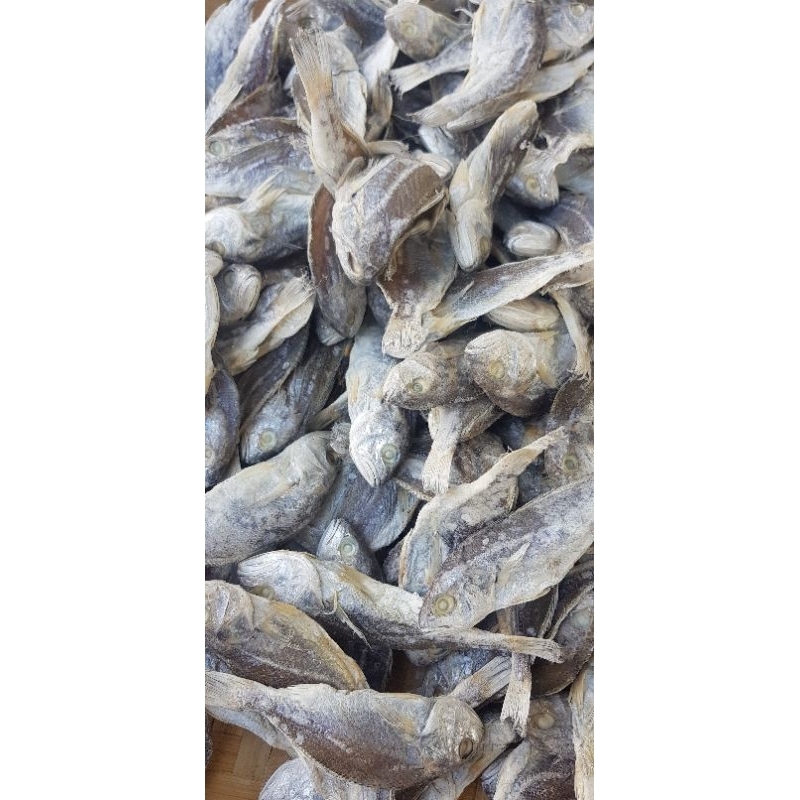 

Ikan asin kepala batu