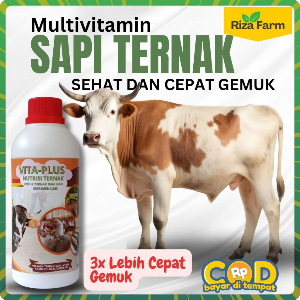 vita plus Vitamin Sapi agar Cepat Gemuk | Obat Penggemuk Sapi | obat nafsu makan Sapi jadi Lahap