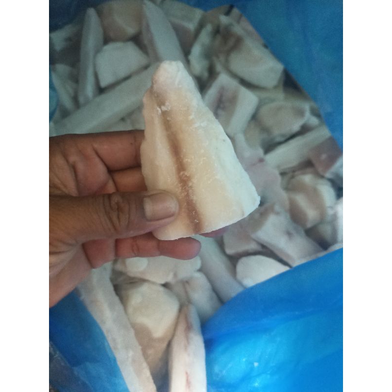 

RB Scrape Ikan Gindara 500 Gram