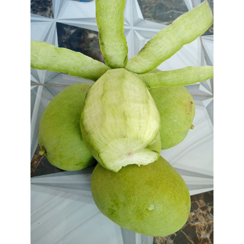 

(Termurah!!!!) 1 kg. mangga muda