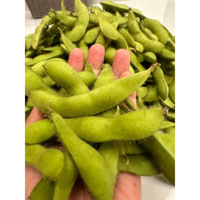 

EDAMAME SUPER berat 1kg