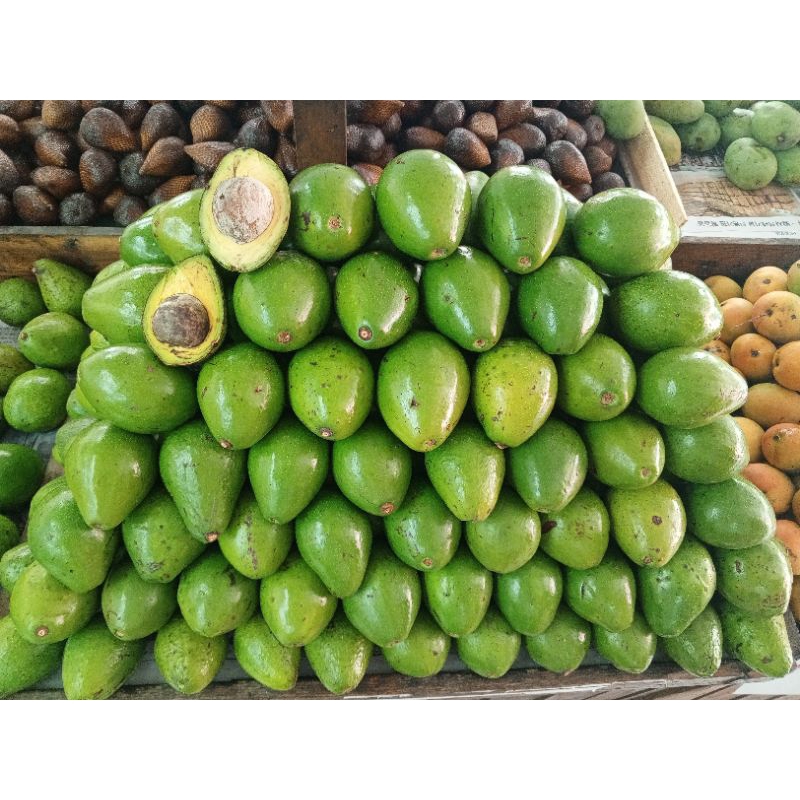 

Buah Alpukat Mentega Enak