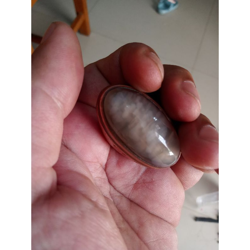 batu akik pandan  semu oli sisik betok.