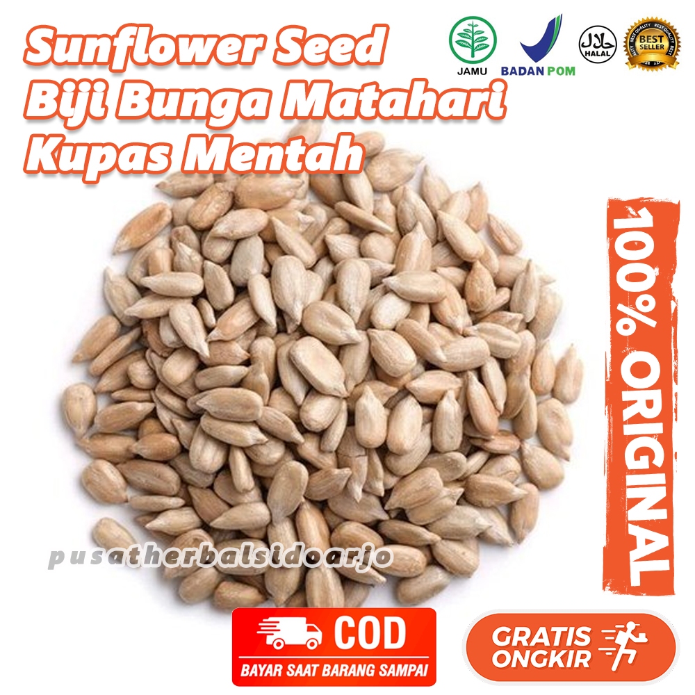 

Biji Bunga Matahari Kupas Tanpa Cangkang Tanpa Kulit Mentah Raw Sunflower Seed Sun Flower Seed