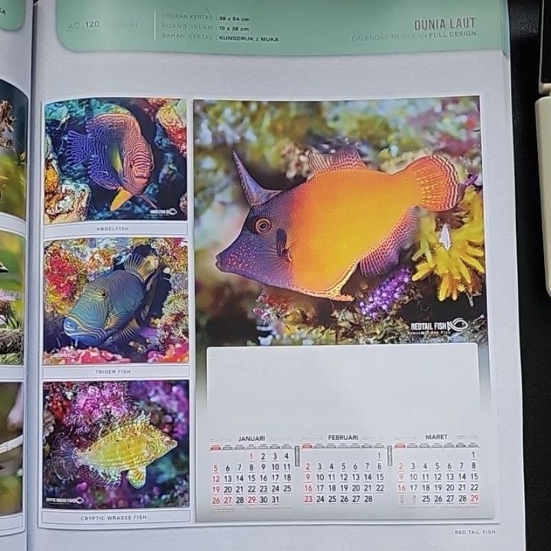 

PO SABLON KALENDER 4 LEMBAR GAMBAR IKAN