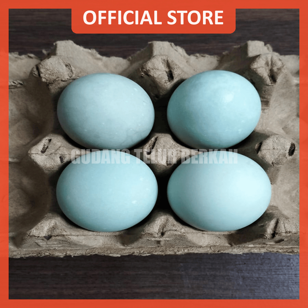 

Telur Bebek Telur Asin Matang 10 Butir