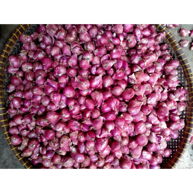 

bawang merah