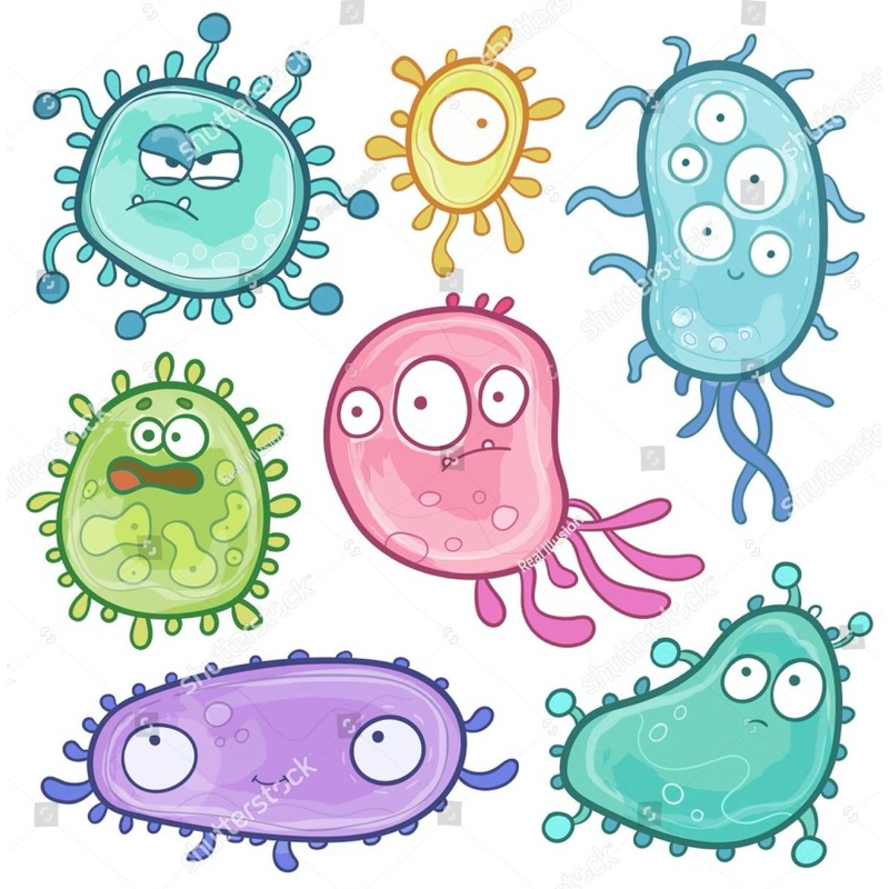 

Bacteria Stickers berbagai variasi Anti air All in