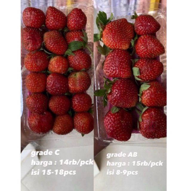 

stroberry bandung pontianak