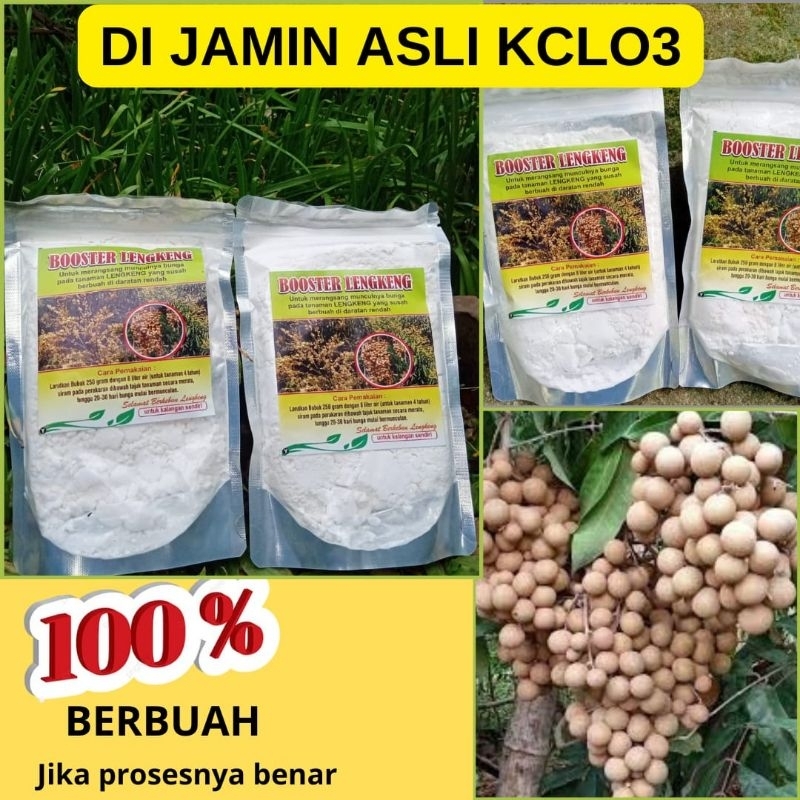 GARANSI ASLI Booster Kelengkeng Asli, Booster Kelengkeng Terbaik