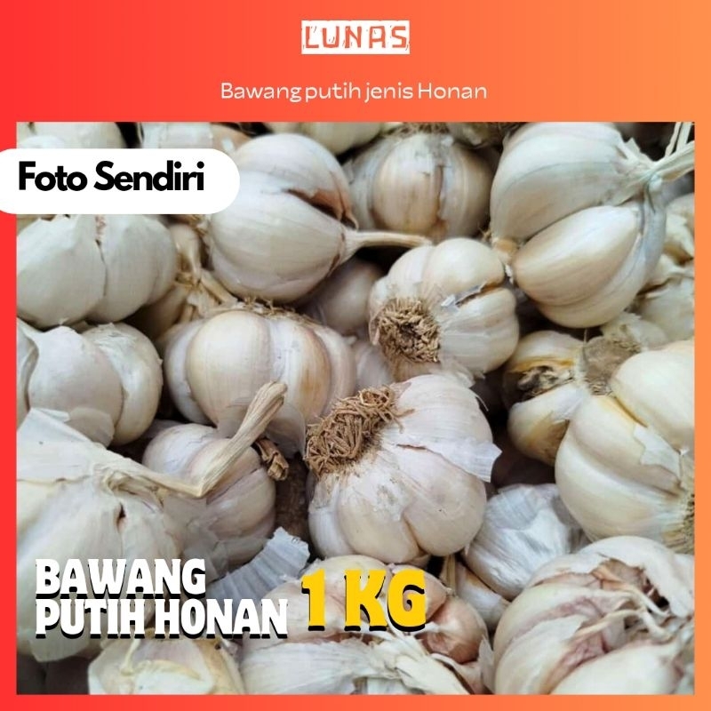 

Bawang Putih Jenis Honan / Bawang Putih / Bawang Putih bagus / Bawang / Bumbu Dapur / Bumbu Dapur Murah