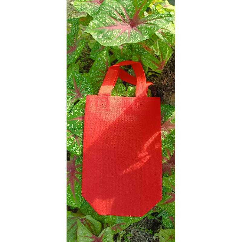 

tootebag/godiebag/tas spunbond ukuran 20 x 30 x 8 Alas kotak