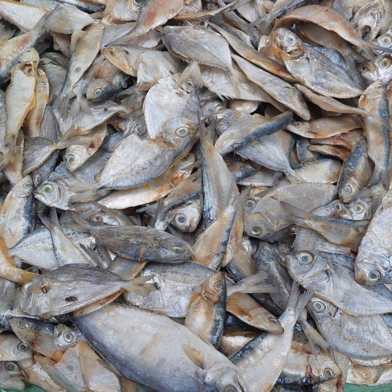 

ikan asin Murah campur 1 kg