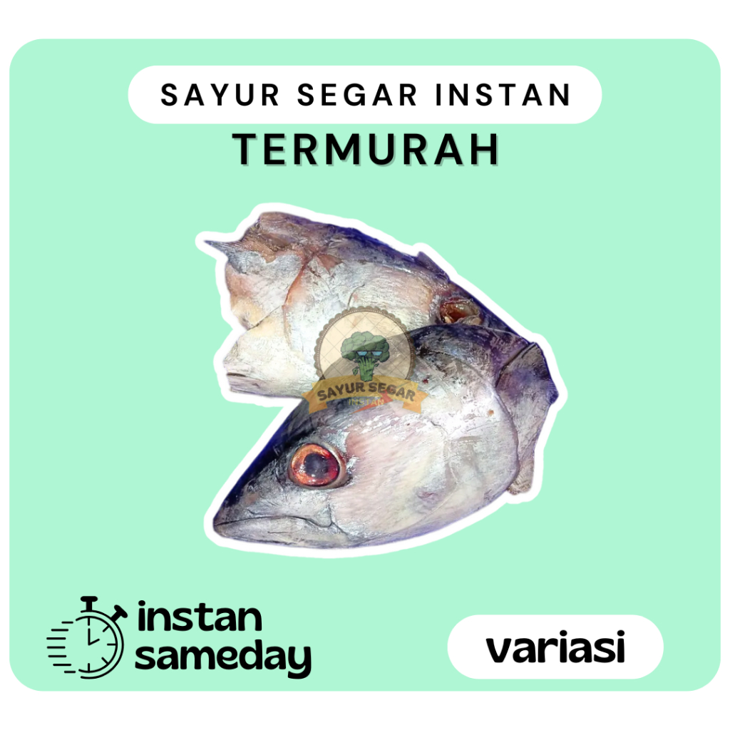 

Kepala Ikan Tongkol