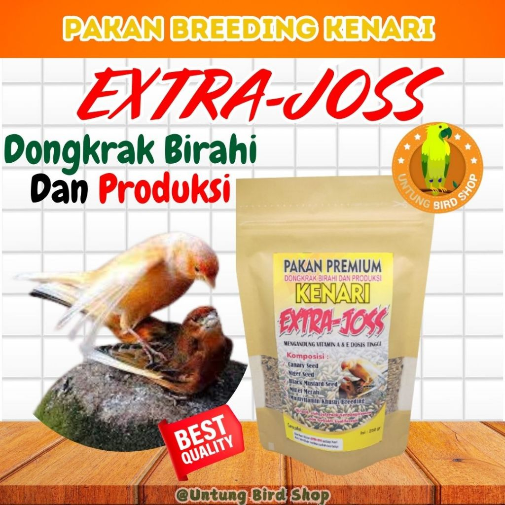 TERBAIK Pakan Kenari Cepat Bertelur. Pakan Breeding Ternak Burung Kenari. Pakan Kenari Ekstra Joss