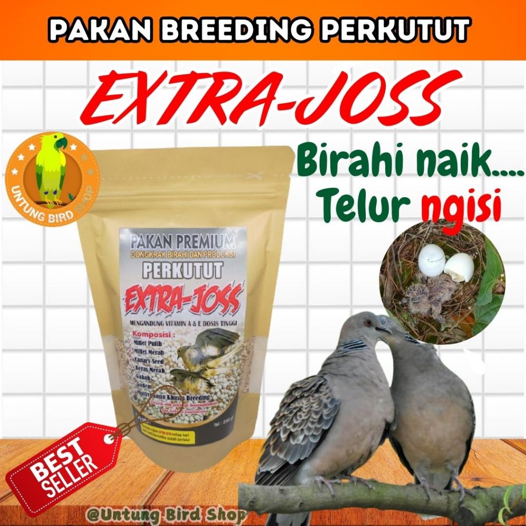 TERMURAH Pakan Ternak Perkutut. Pakan Breeding Perkutut. Agar Cepat Bertelur. Extra Joss Perkutut
