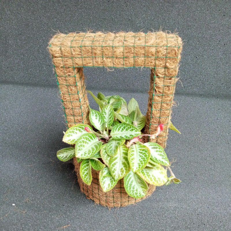 (NEW MODEL) POT SABUT KELAPA/POT MODEL KERANJANG/COVER POT 11 CM/POT TURUS D 11 cm/Turus rambatan ta