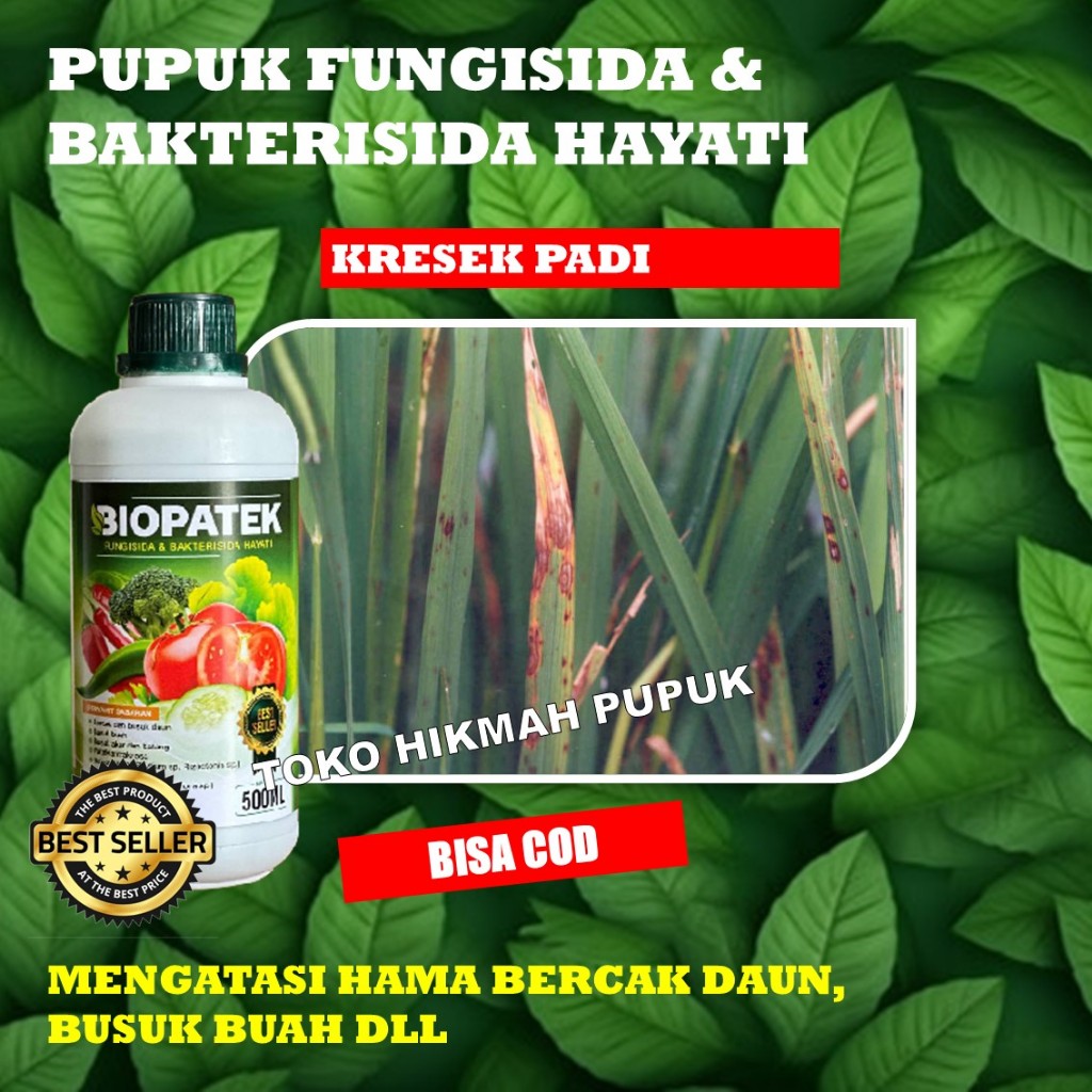 BIOPATEK Fungisida Hayati Obat Penyakit Kresek Pada Tanaman Padi, Obat Hama Penyakit Kresek Padi, Pu