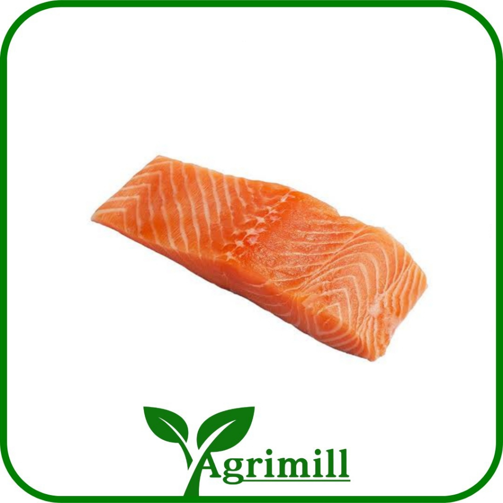 Salmon Frozen | Ikan Salmon Segar