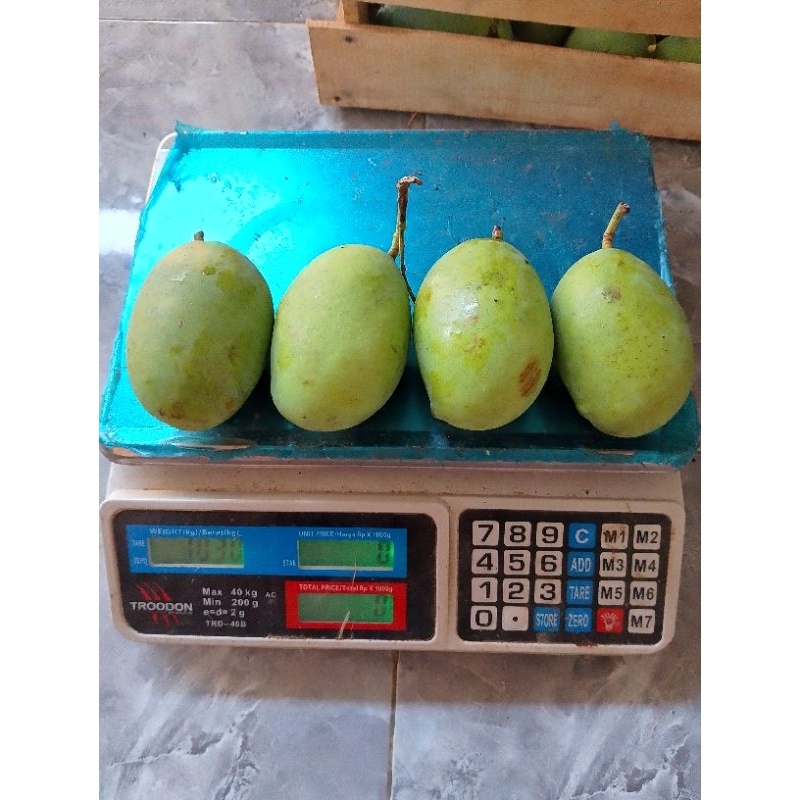 

mangga Kweni Fresh 1kg
