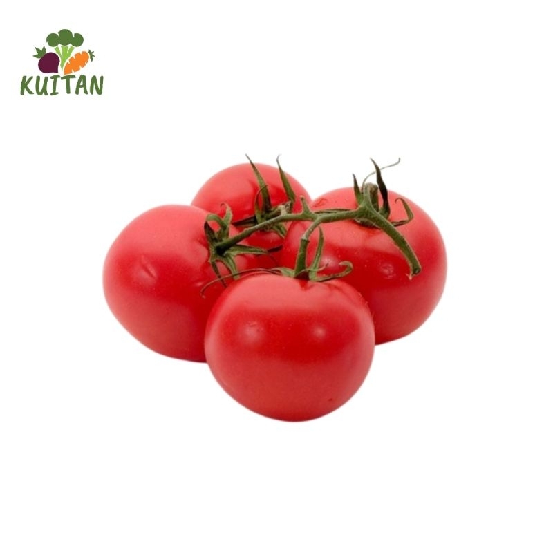 

TOMAT FRESH 500GR & 1000GR