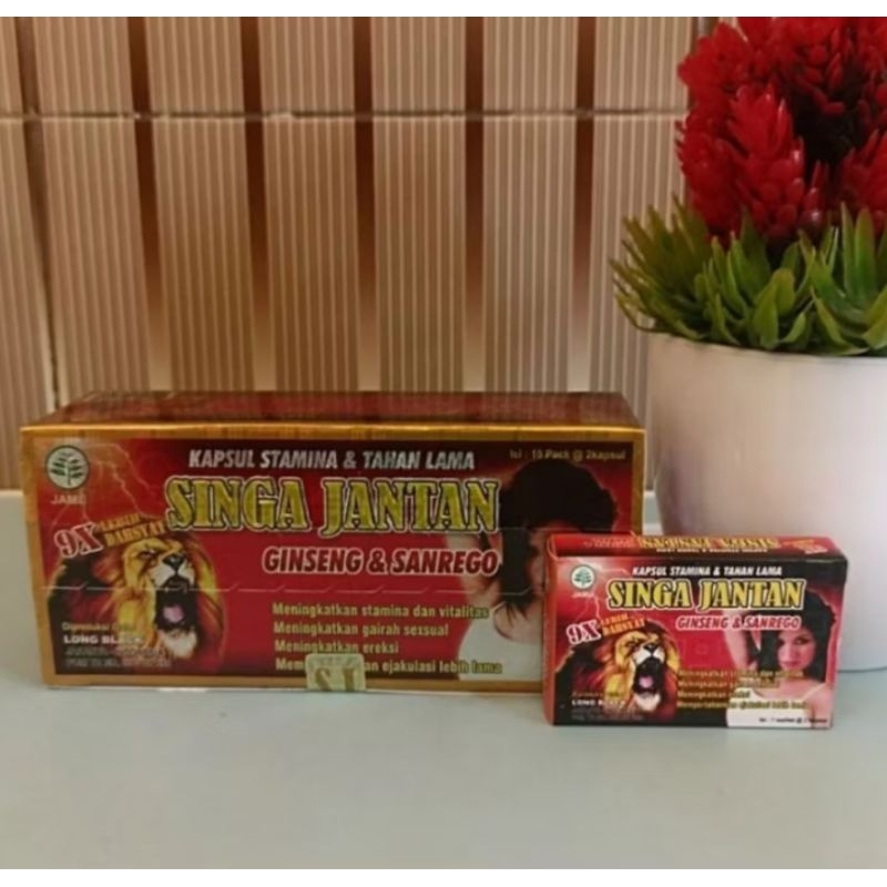 singa jantan kapsul original