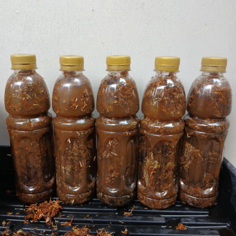 bibit spora/biang jakaba POC 350 ml