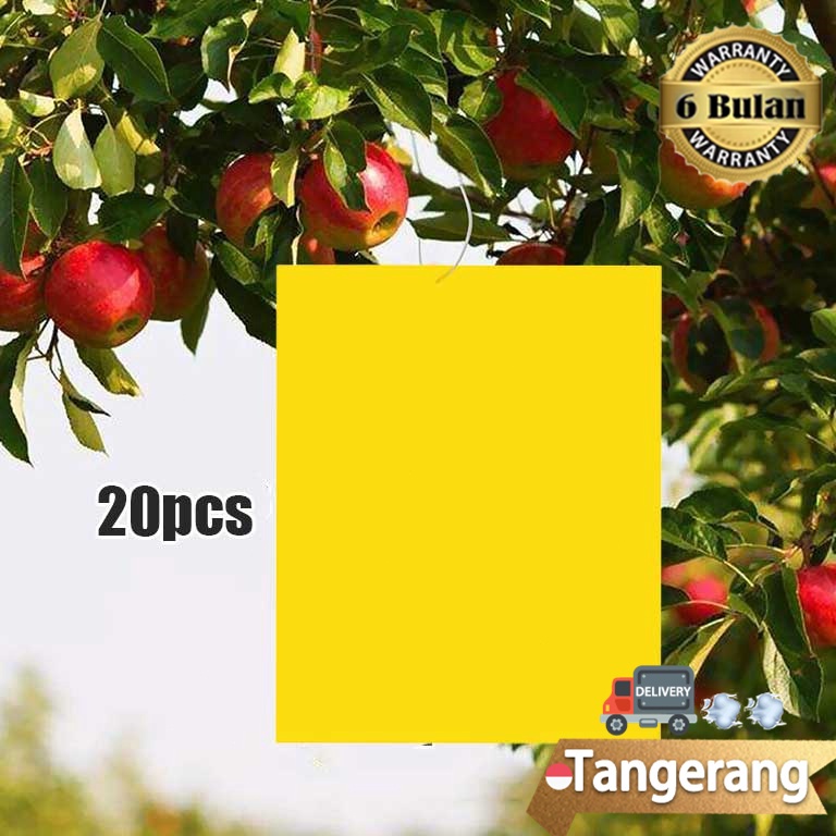 TERBAIK 2pcsBag Yellow Trap Perangkap Hama Lem Perekat Lalat Buah Likat Kuning