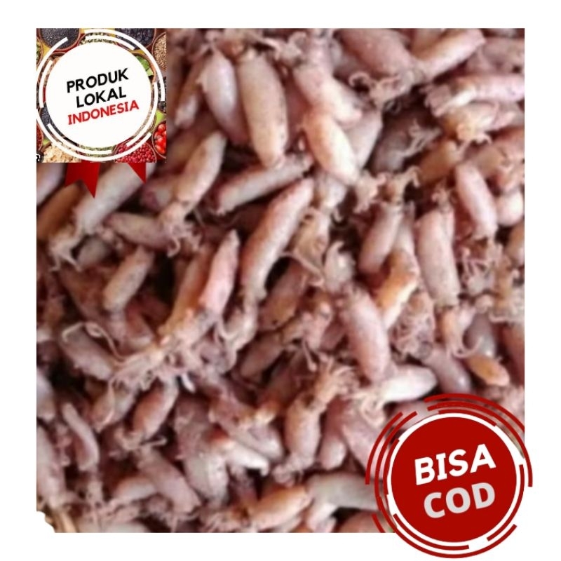

Baby Cumi SUPER 1-2 Cm Fresh Mantul 250gr -1 kg